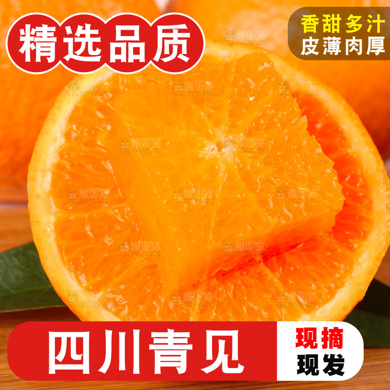 浅底上的青见