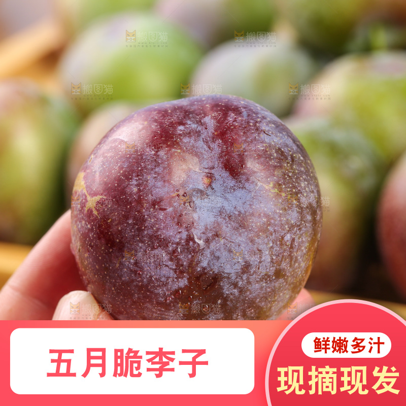 木底上的五月脆