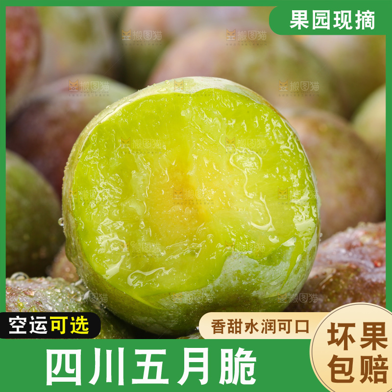 木底上的五月脆