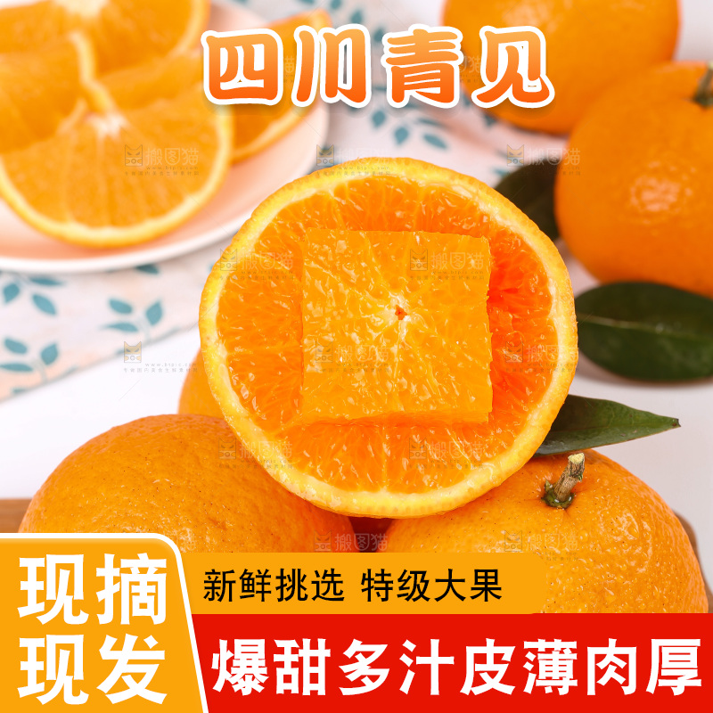 浅底上的青见