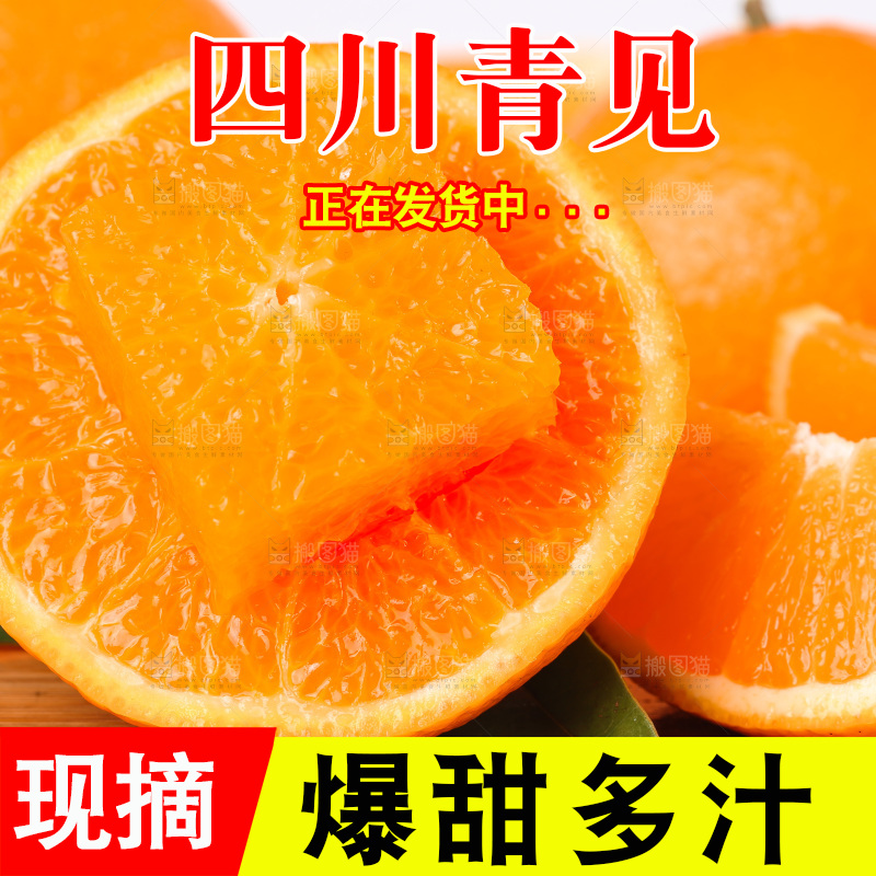 浅底上的青见