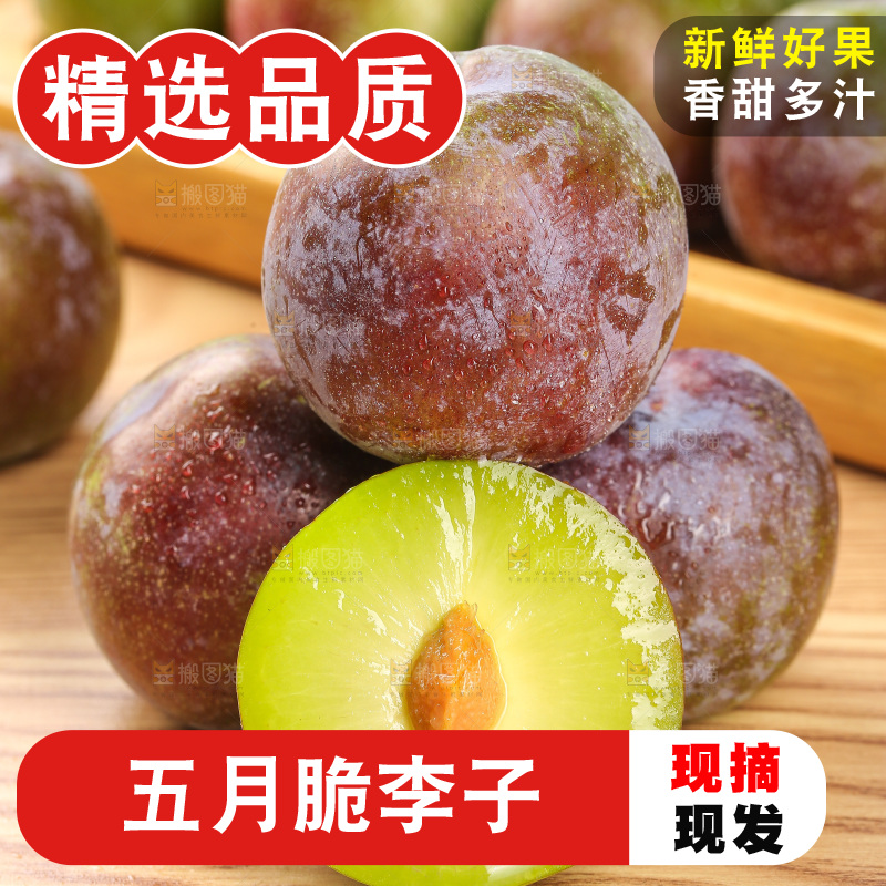 木底上的五月脆