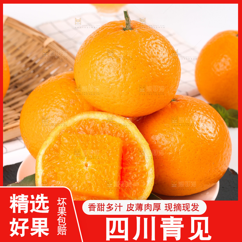 浅底上的青见