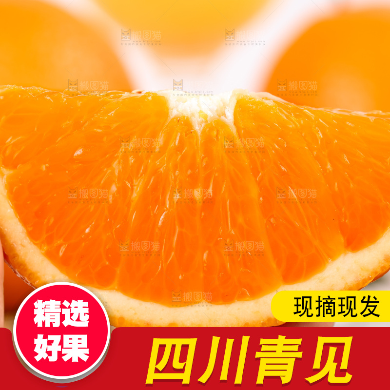 浅底上的青见
