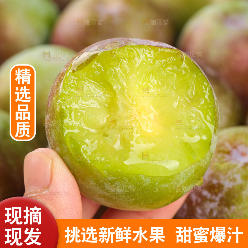 木底上的五月脆