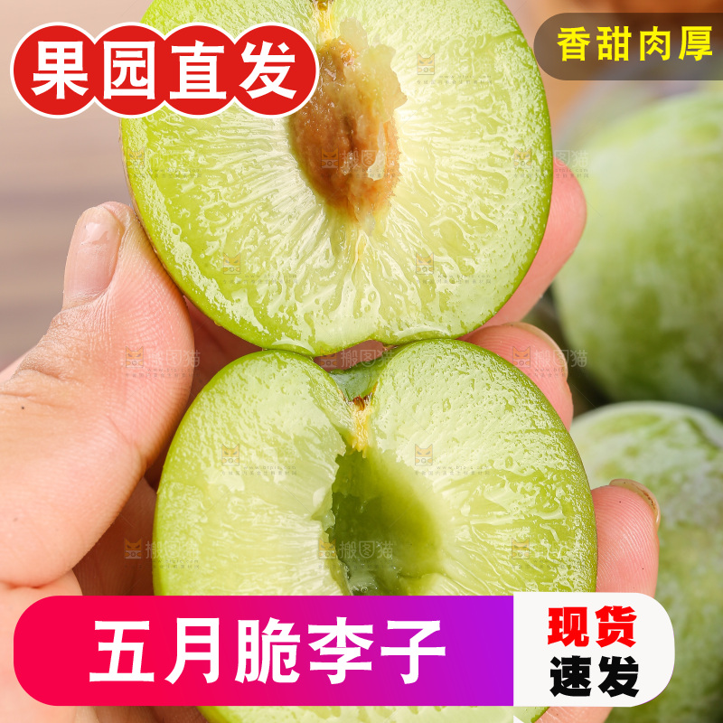 木底上的五月脆