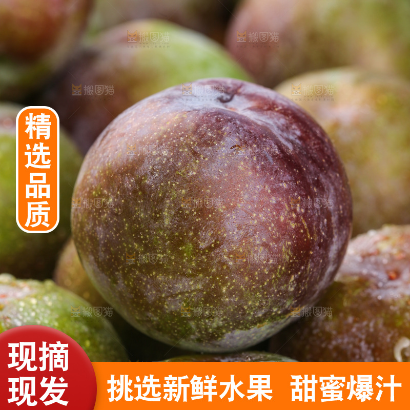 木底上的五月脆