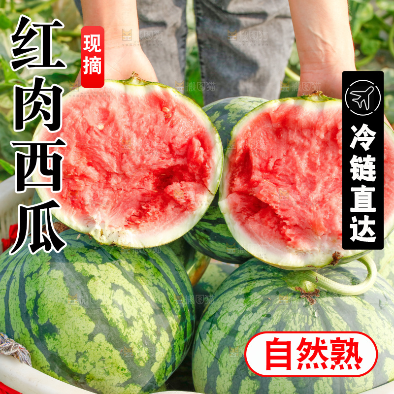 手里拿着新鲜西瓜