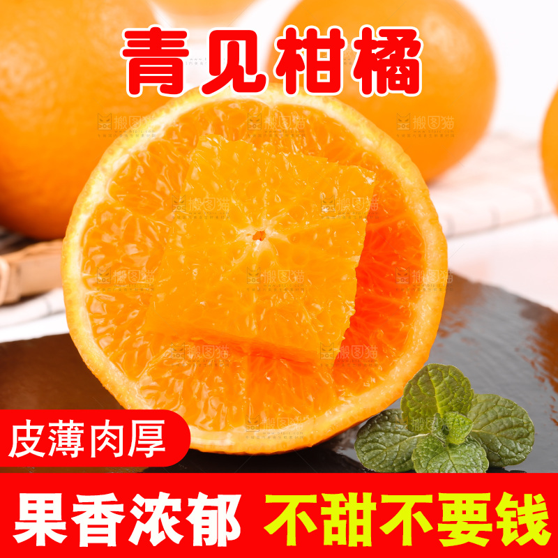浅底上的青见