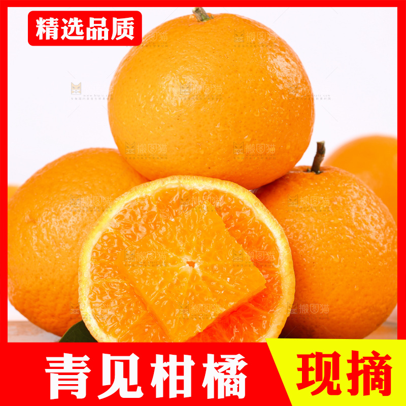 浅底上的青见