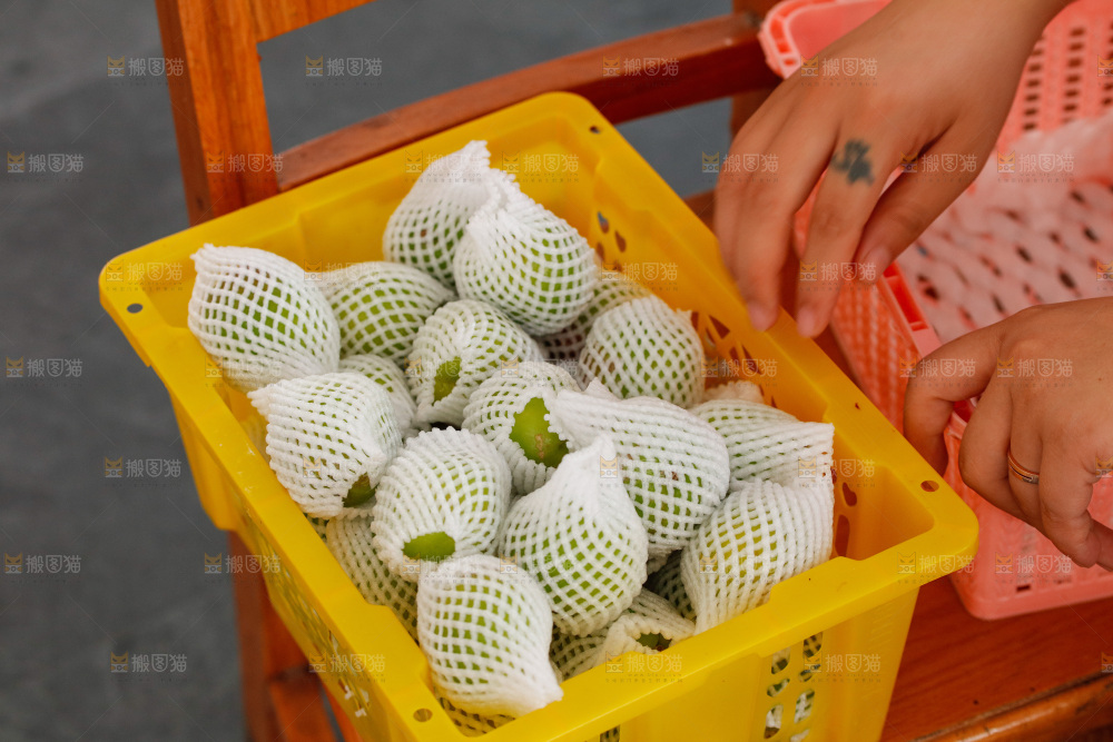 深底上的大梨杏
