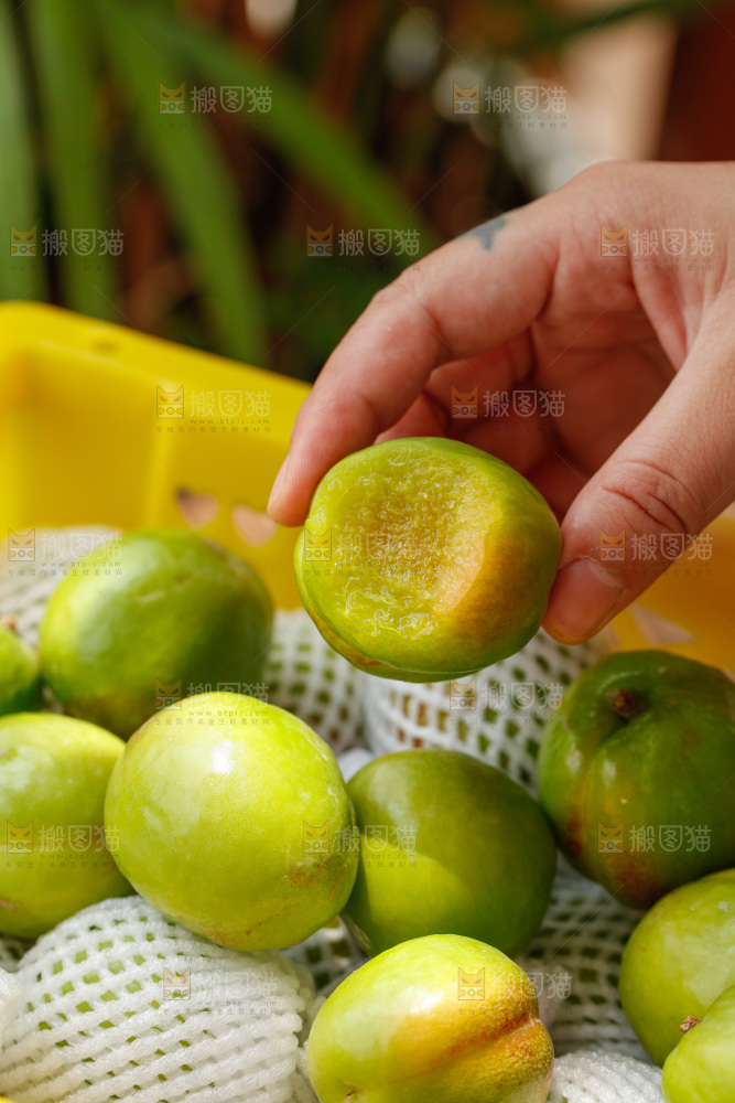 深底上的大梨杏