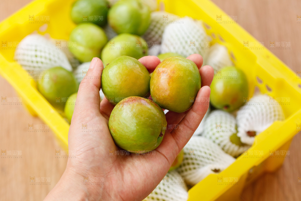 深底上的大梨杏