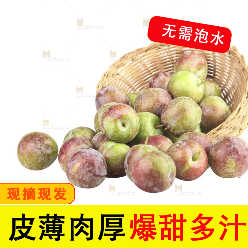 白底上的五月脆