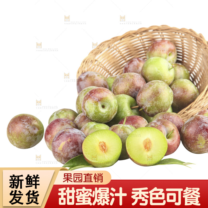 白底上的五月脆