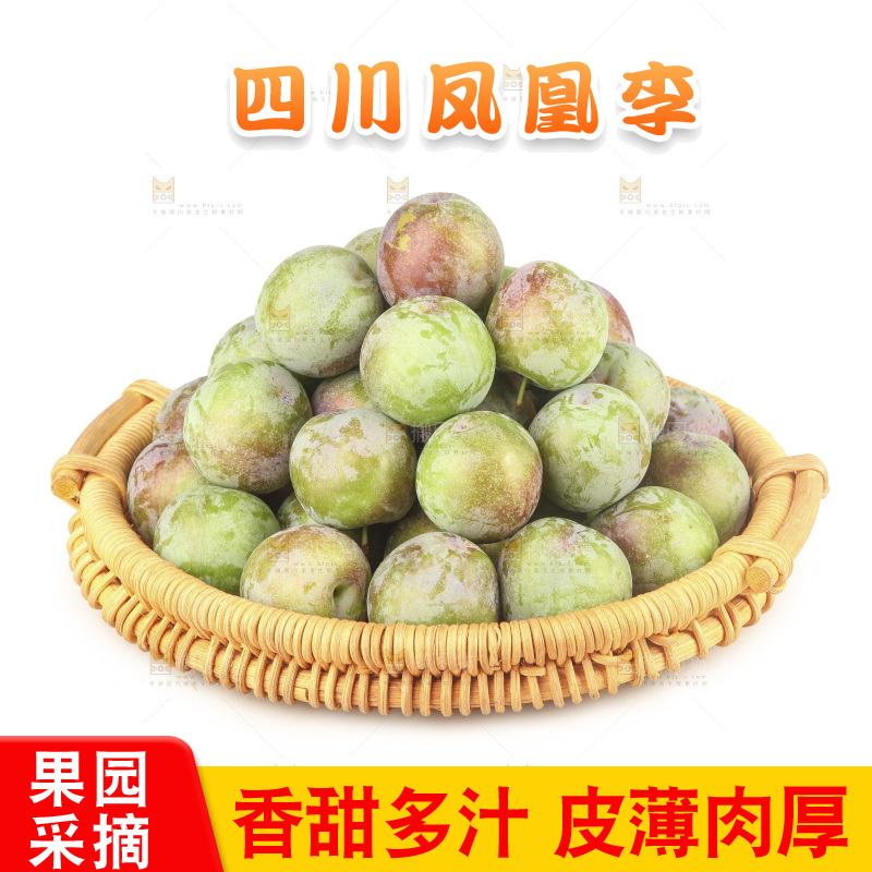 白底上的五月脆
