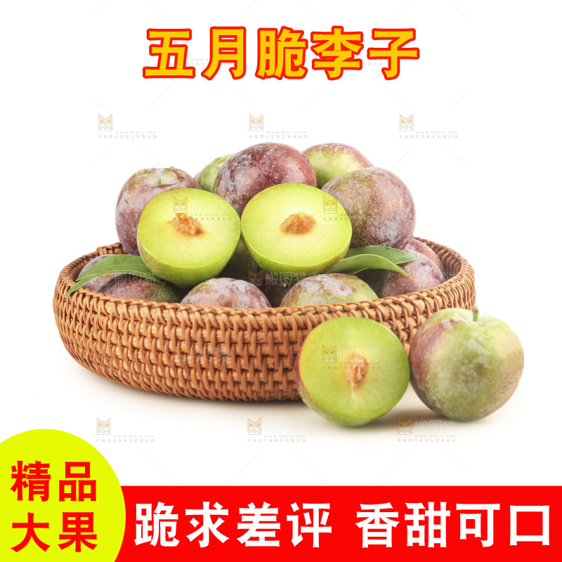 白底上的五月脆