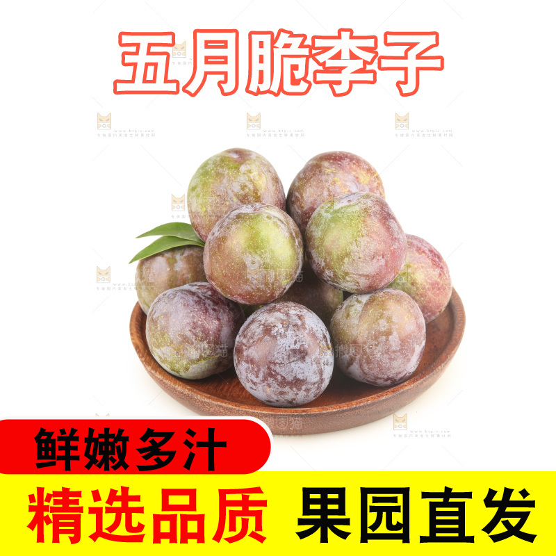 白底上的五月脆