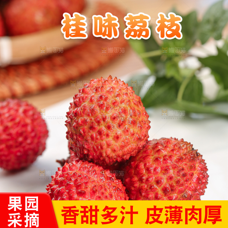 浅底上的桂味荔枝