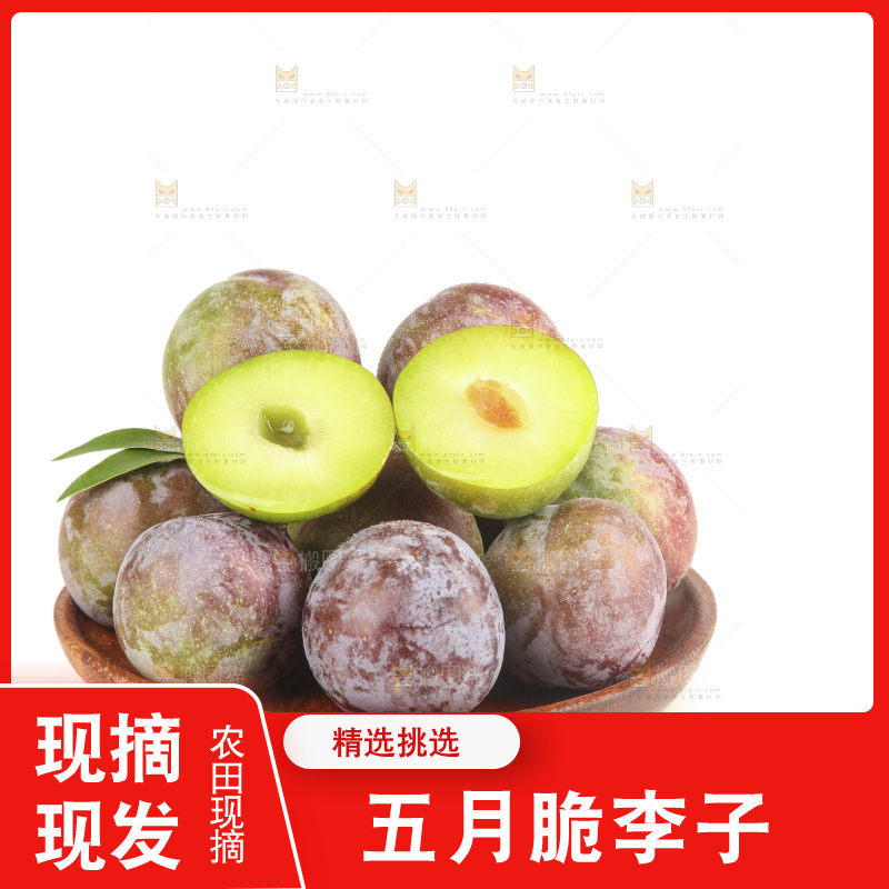 白底上的五月脆