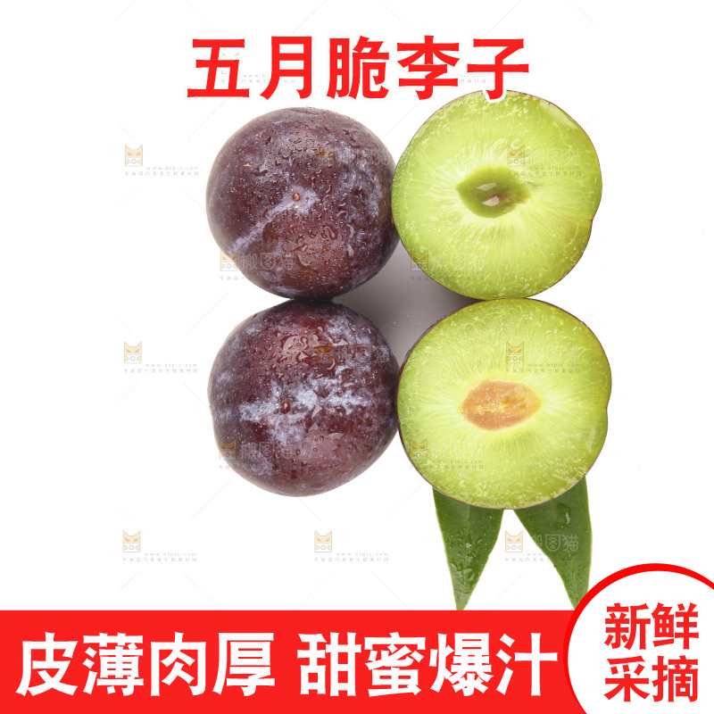 白底上的五月脆李子