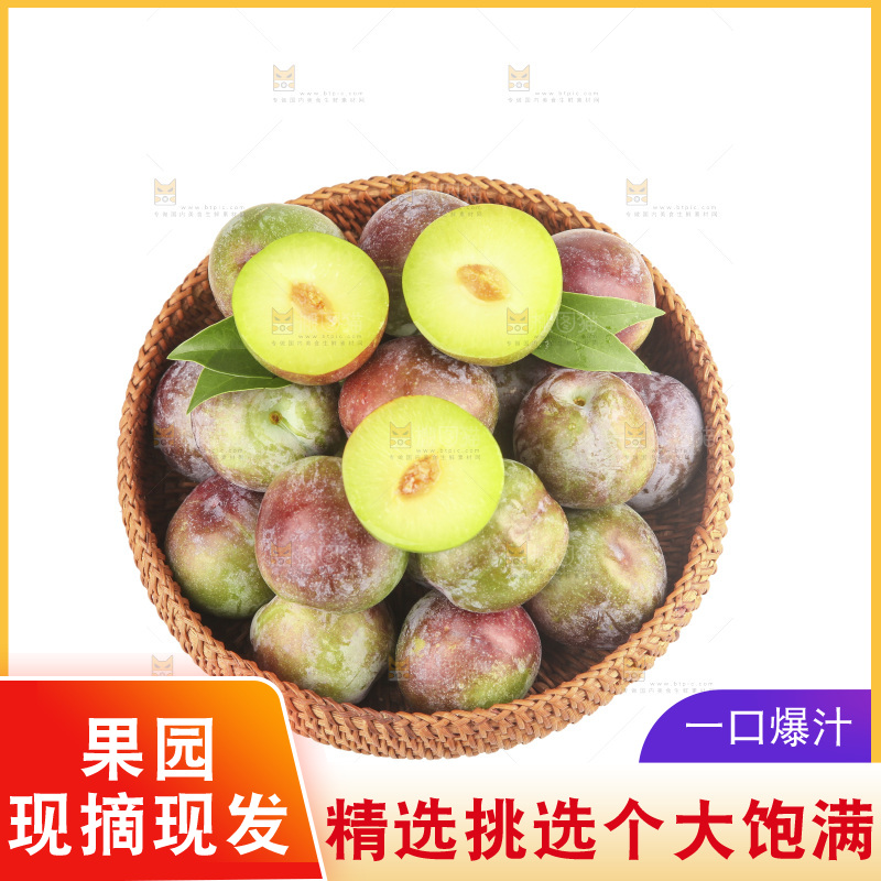 白底上的五月脆