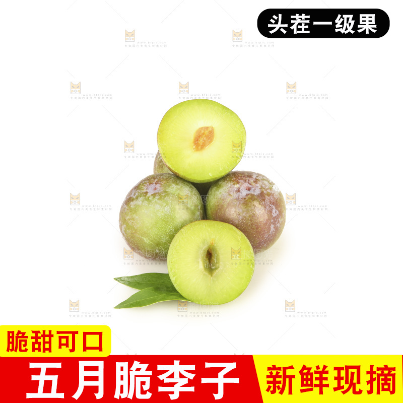 白底上的五月脆