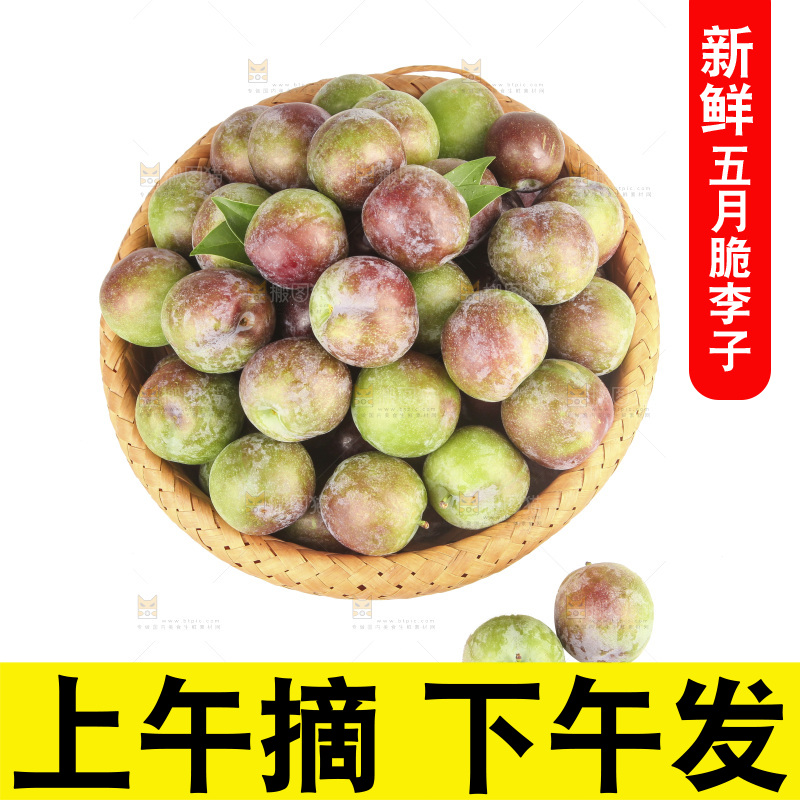 白底上的五月脆