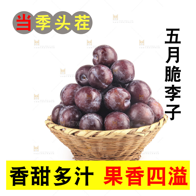 白底上的五月脆李子