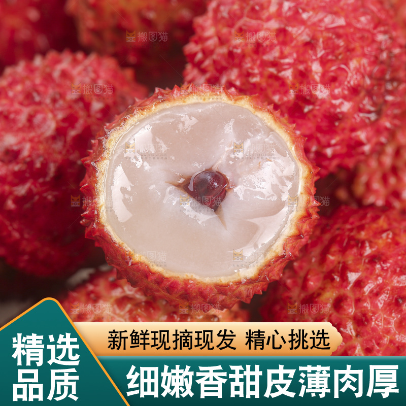 浅底上的桂味荔枝