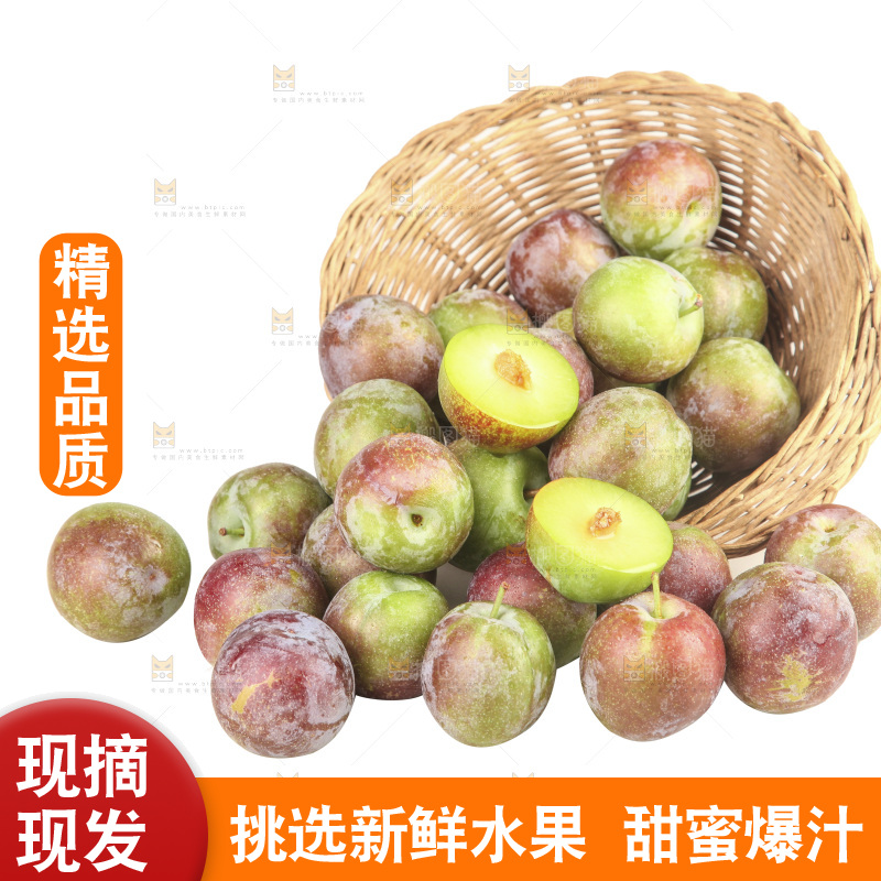 白底上的五月脆