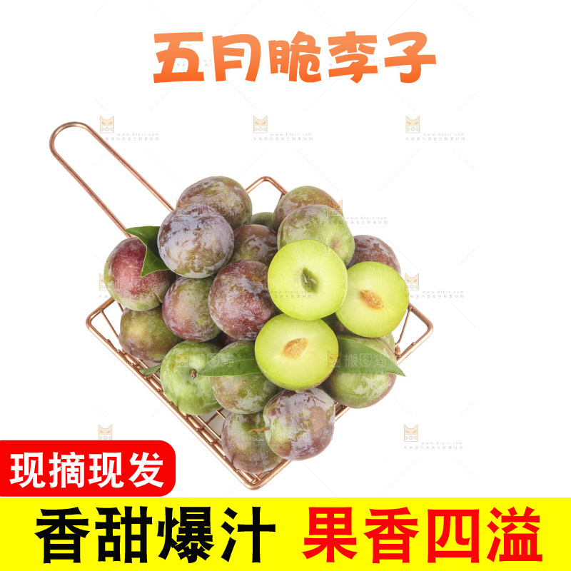 白底上的五月脆