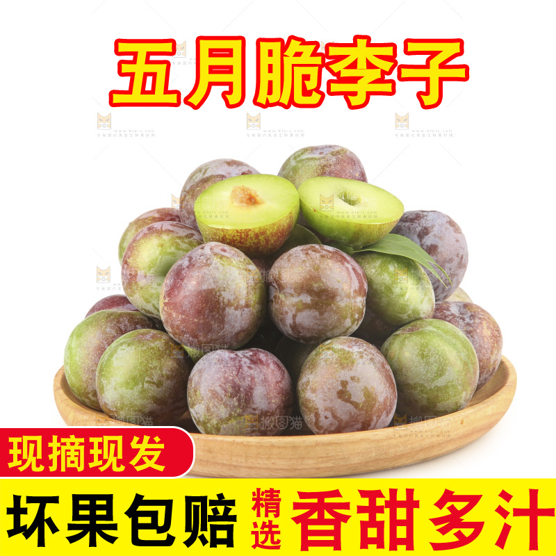 白底上的五月脆