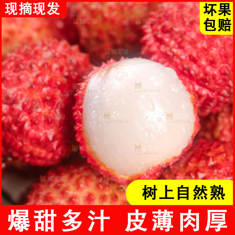 桂味荔枝主图