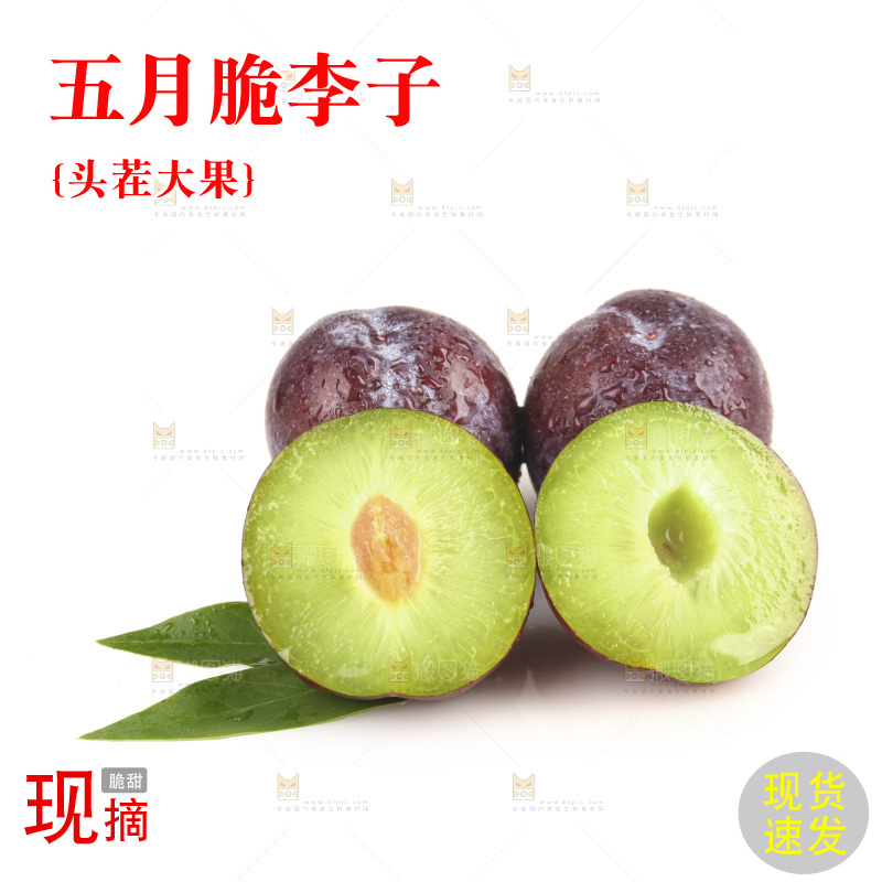 白底上的五月脆李子