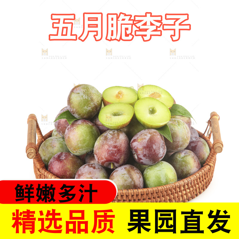 白底上的五月脆