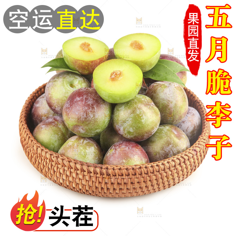 白底上的五月脆