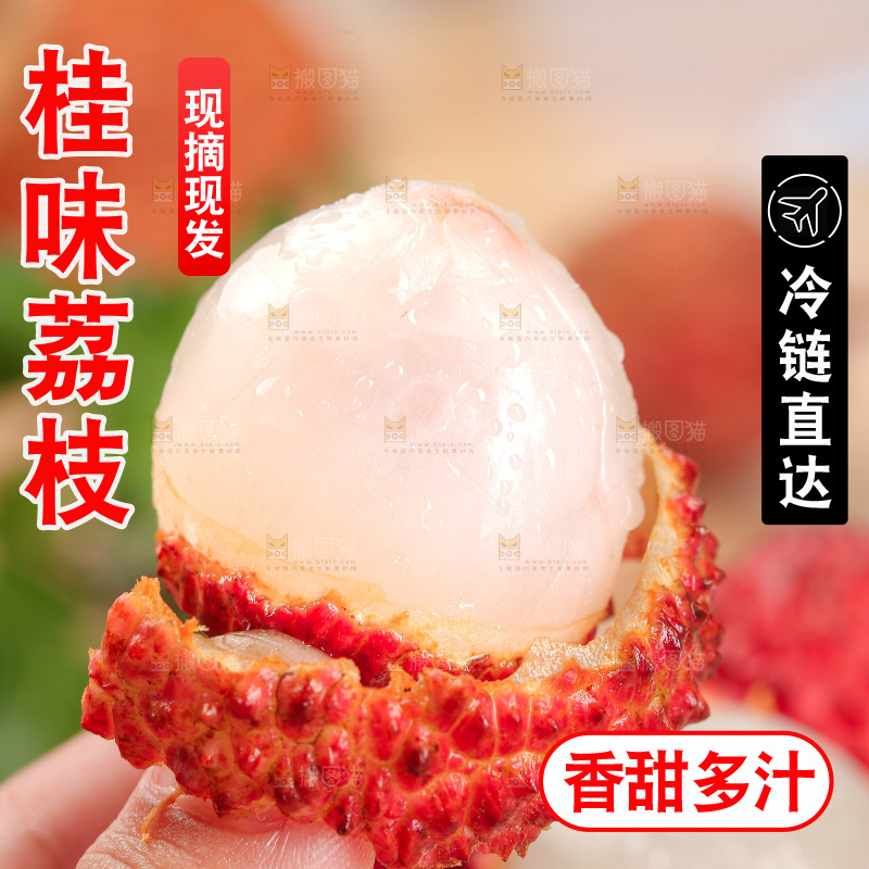 浅底上的桂味荔枝