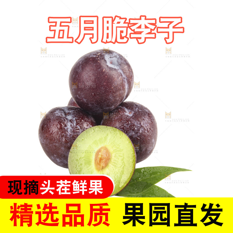 白底上的五月脆李子