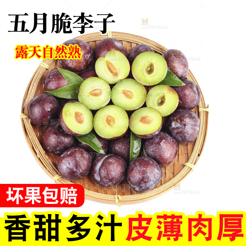 白底上的五月脆李子