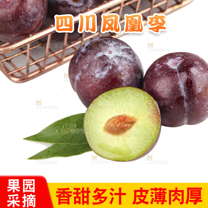 白底上的五月脆李子