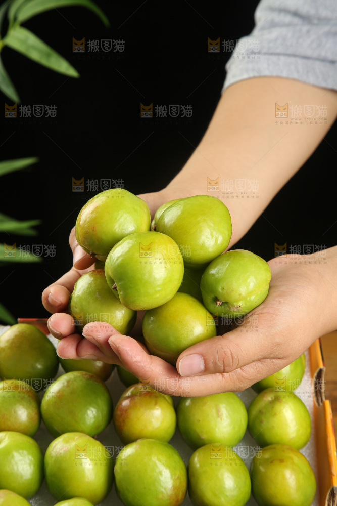 木底上的大梨杏
