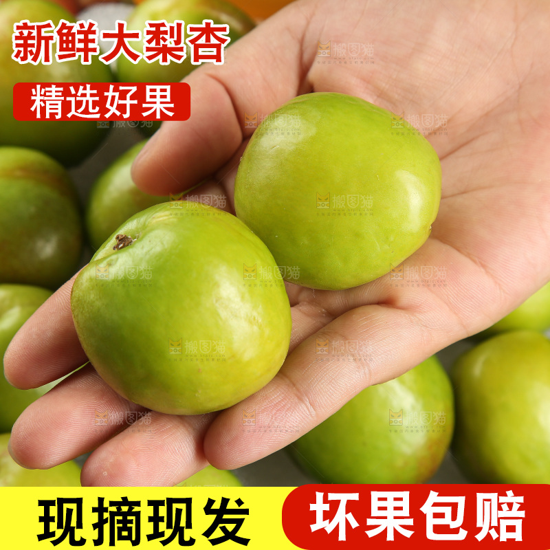 木底上的大梨杏