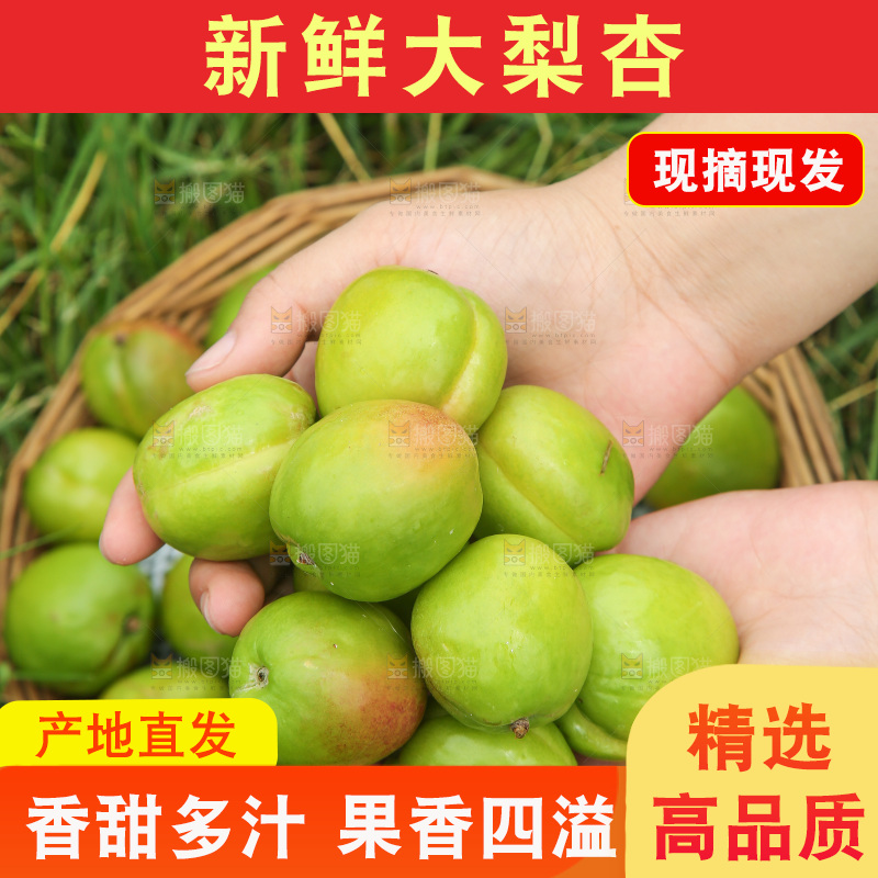 手里拿着大梨杏