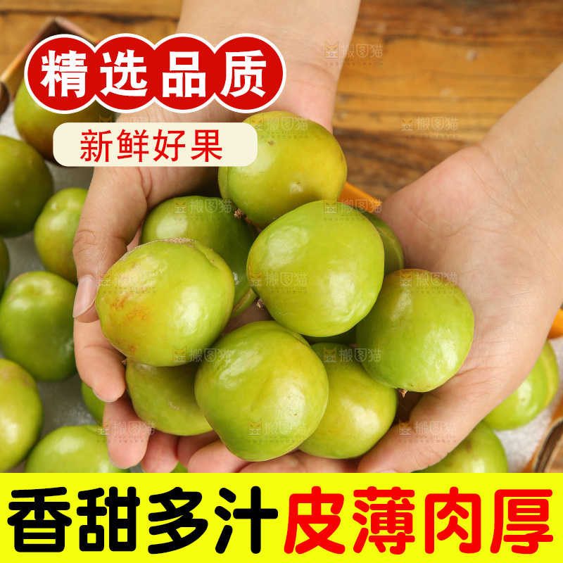 木底上的大梨杏