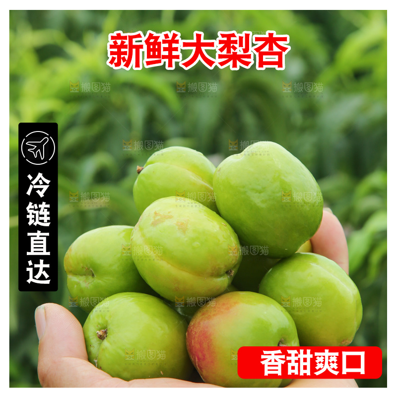 手里拿着大梨杏