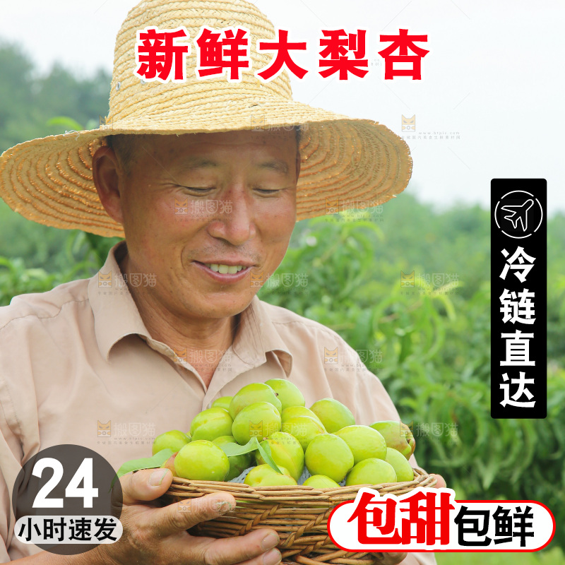 手里拿着大梨杏