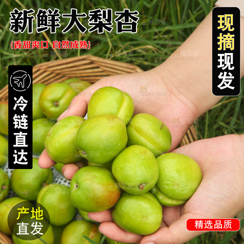 手里拿着大梨杏