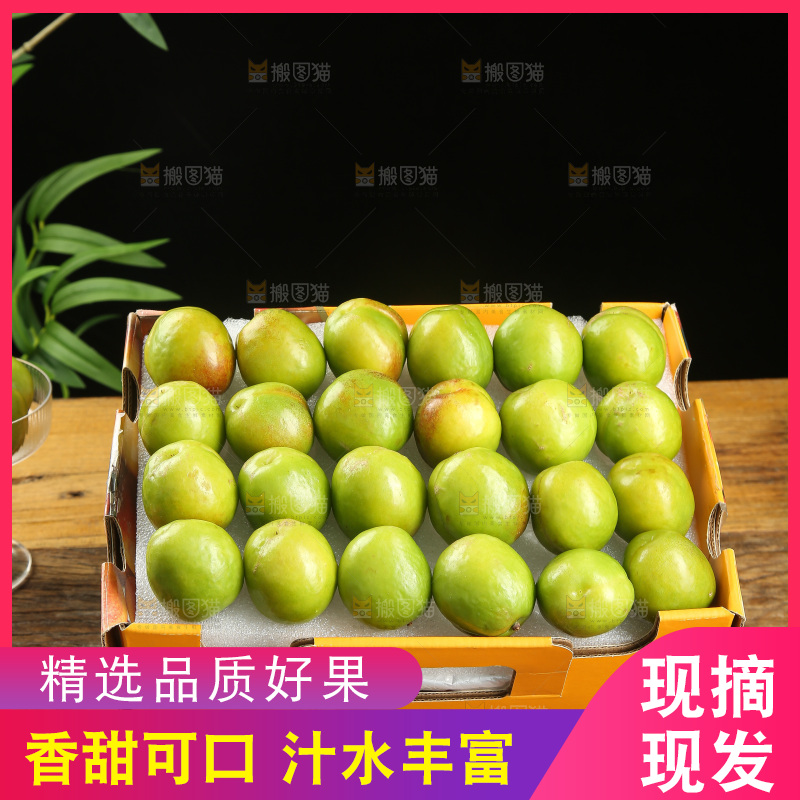 木底上的大梨杏