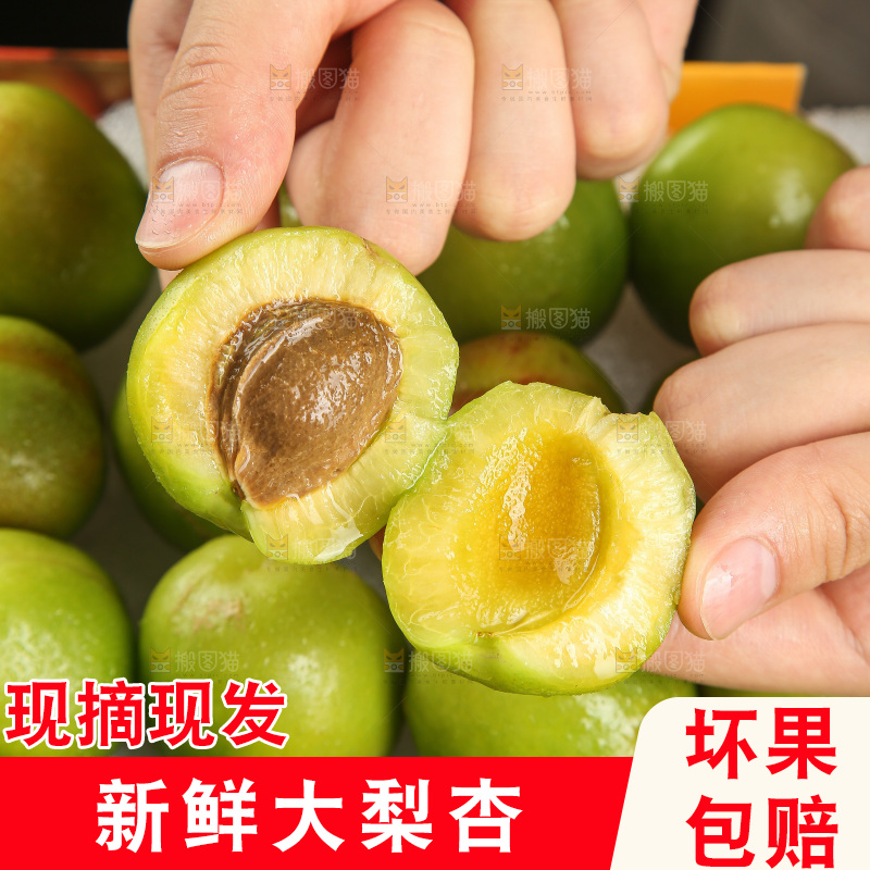 木底上的大梨杏